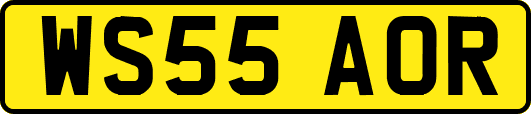 WS55AOR