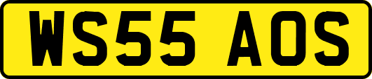 WS55AOS