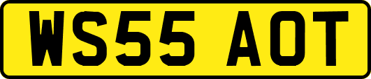 WS55AOT
