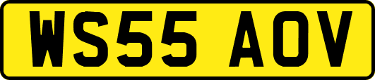WS55AOV