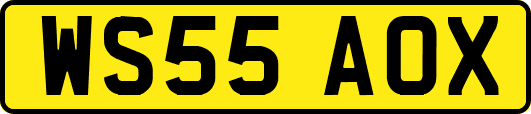 WS55AOX