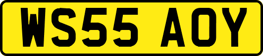 WS55AOY