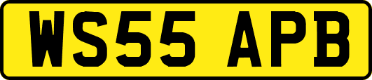 WS55APB