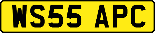 WS55APC