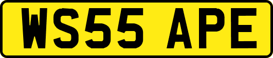 WS55APE