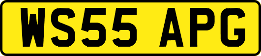 WS55APG