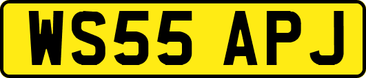 WS55APJ