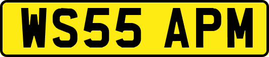 WS55APM