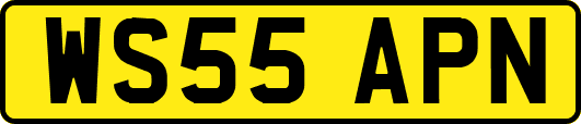 WS55APN