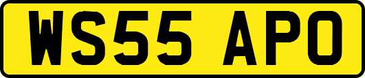 WS55APO