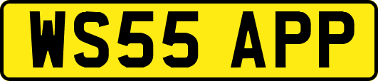 WS55APP