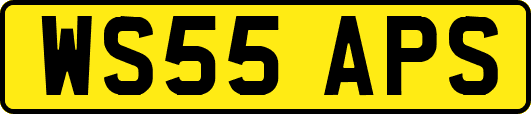 WS55APS