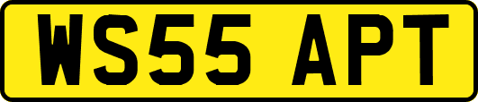 WS55APT