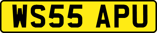 WS55APU