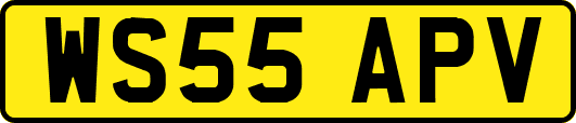 WS55APV