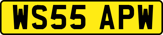 WS55APW
