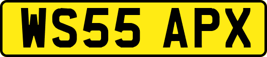 WS55APX