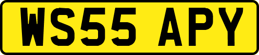 WS55APY
