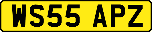 WS55APZ