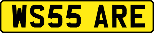 WS55ARE