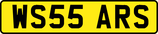 WS55ARS