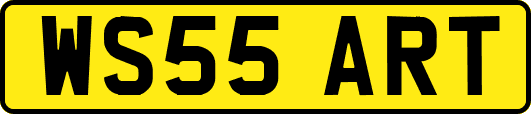 WS55ART