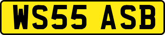 WS55ASB