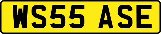 WS55ASE