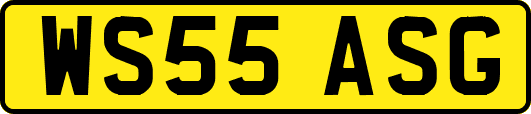WS55ASG