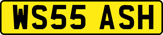 WS55ASH