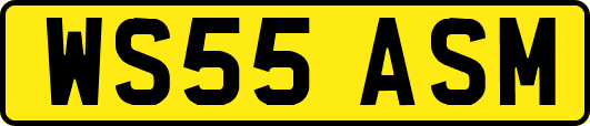 WS55ASM