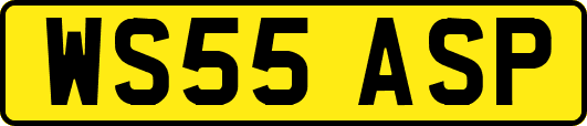 WS55ASP
