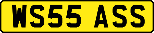 WS55ASS