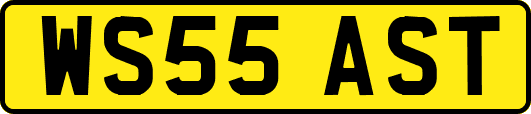WS55AST