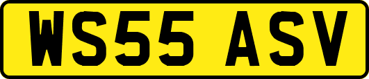WS55ASV