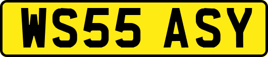 WS55ASY