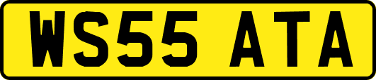 WS55ATA