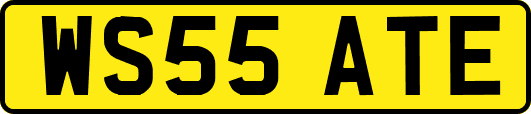 WS55ATE