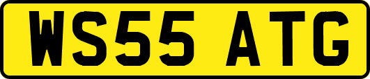 WS55ATG