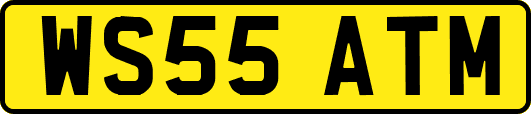 WS55ATM