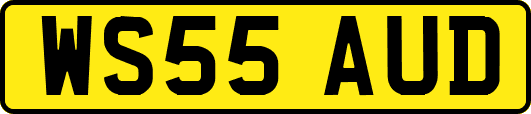WS55AUD