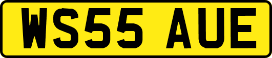 WS55AUE