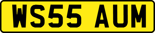 WS55AUM