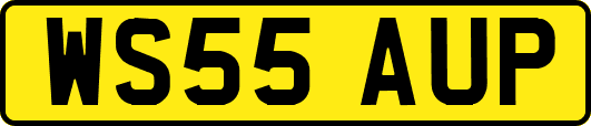 WS55AUP