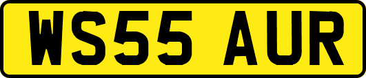 WS55AUR