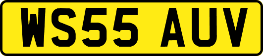WS55AUV