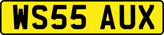 WS55AUX