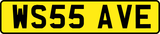 WS55AVE