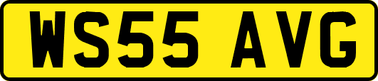 WS55AVG