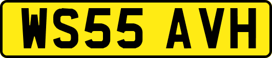 WS55AVH
